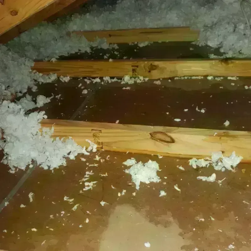 Attic Water Damage in Augusta, GA