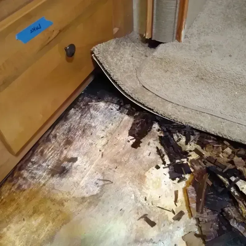 Wood Floor Water Damage in Augusta, GA